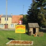 IMG_1532