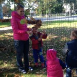 IMG_0653(1)