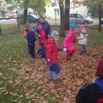 IMG_0713(1)