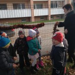 IMG_0794(1)