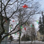 IMG_1847