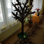 IMG_20180522_103806