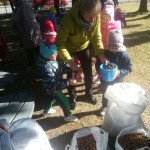 IMG_20181001_113849(1)