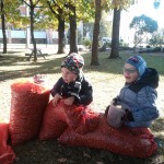 IMG_20181009_113420