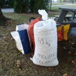 IMG_20181011_173317