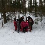 IMG_20190208_103002