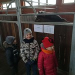 IMG_20190326_113310