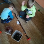 IMG_20181019_103455