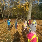 IMG_20191024_112253