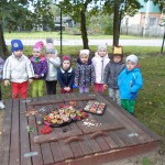 SAM_4594