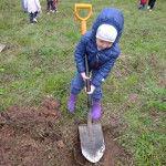 IMG_20200917_171427_1