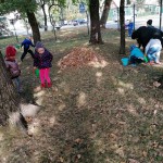 IMG_20201001_110503