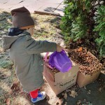 received_686070728679141