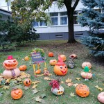 IMG_20201021_173359