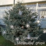 12 grupė