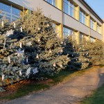 20201208_142856 (1)