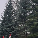 20201216_204705