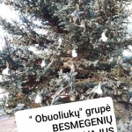 3 grupė