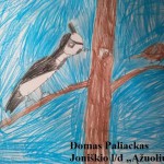 Domo Paliacko paukštis
