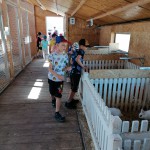 IMG_20210610_112952