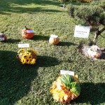 20201013_144434-min