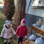received_1412258479169613