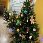 IMG_20211213_101218