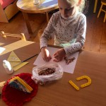 IMG-6204