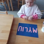 IMG-7308